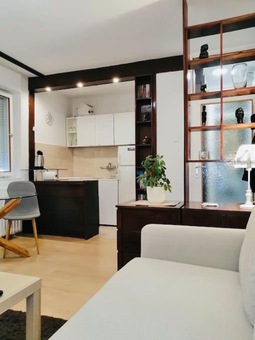 Апартаменти Dorcol Hideaway Белград Екстер'єр фото